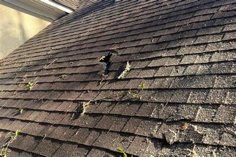 roof repairs jackson ms|THE BEST 10 Roofing in JACKSON, MS